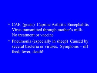 • CAE (goats) Caprine Arthritis Encephalitis
  Virus transmitted through mother’s milk.
  No treatment or vaccine
• Pneumonia (especially in sheep) Caused by
  several bacteria or viruses. Symptoms – off
  feed, fever, death!
 