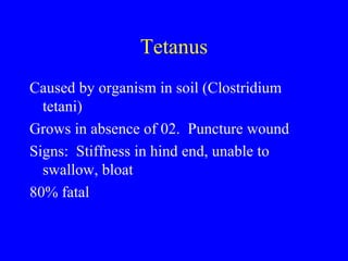 Tetanus
Caused by organism in soil (Clostridium
  tetani)
Grows in absence of 02. Puncture wound
Signs: Stiffness in hind end, unable to
  swallow, bloat
80% fatal
 