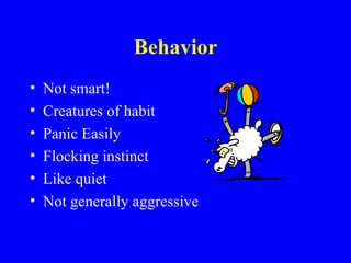 Behavior
•   Not smart!
•   Creatures of habit
•   Panic Easily
•   Flocking instinct
•   Like quiet
•   Not generally aggressive
 
