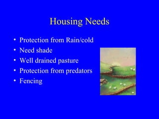 Housing Needs
•   Protection from Rain/cold
•   Need shade
•   Well drained pasture
•   Protection from predators
•   Fencing
 
