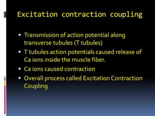 Excitation contraction coupling Transmission of action potential along transverse tubules (T tubules) T tubules action potentials caused release of Ca ions inside the muscle fiber. Ca ions caused contraction Overall process called Excitation Contraction Coupling  