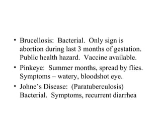• Brucellosis: Bacterial. Only sign is
  abortion during last 3 months of gestation.
  Public health hazard. Vaccine available.
• Pinkeye: Summer months, spread by flies.
  Symptoms – watery, bloodshot eye.
• Johne’s Disease: (Paratuberculosis)
  Bacterial. Symptoms, recurrent diarrhea
 