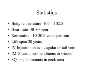 Statistics
•   Body temperature 100 – 102.5
•   Heart rate 40-80 bpm
•   Respiration 10-30 breaths per min
•   Life span 20 years
•   IV Injection sites – Jugular or tail vein
•   IM Gluteal, semitendinous or triceps
•   SQ small amounts in neck area
 
