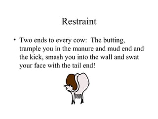 Restraint
• Two ends to every cow: The butting,
  trample you in the manure and mud end and
  the kick, smash you into the wall and swat
  your face with the tail end!
 