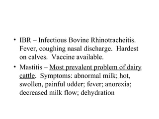 • IBR – Infectious Bovine Rhinotracheitis.
  Fever, coughing nasal discharge. Hardest
  on calves. Vaccine available.
• Mastitis – Most prevalent problem of dairy
  cattle. Symptoms: abnormal milk; hot,
  swollen, painful udder; fever; anorexia;
  decreased milk flow; dehydration
 