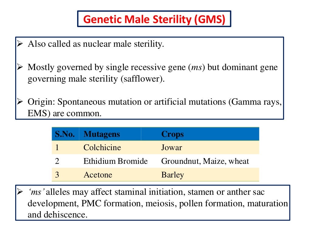 male sterility