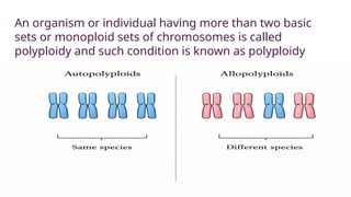 ploidy,autoploidy, alloploidy and double hyrbid | PPTX