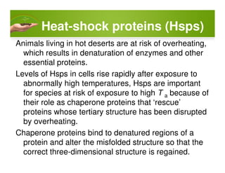 Heat-shock proteins (Hsps)
Animals living in hot deserts are at risk of overheating,
which results in denaturation of enzymes and other
essential proteins.
Levels of Hsps in cells rise rapidly after exposure to
abnormally high temperatures, Hsps are importantabnormally high temperatures, Hsps are important
for species at risk of exposure to high T a because of
their role as chaperone proteins that ‘rescue’
proteins whose tertiary structure has been disrupted
by overheating.
Chaperone proteins bind to denatured regions of a
protein and alter the misfolded structure so that the
correct three-dimensional structure is regained.
 