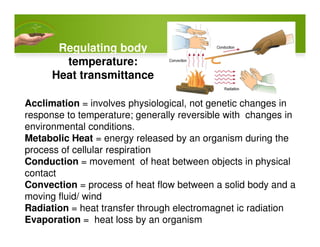 Regulating body
temperature:
Heat transmittance
Acclimation = involves physiological, not genetic changes in
response to temperature; generally reversible with changes in
environmental conditions.environmental conditions.
Metabolic Heat = energy released by an organism during the
process of cellular respiration
Conduction = movement of heat between objects in physical
contact
Convection = process of heat flow between a solid body and a
moving fluid/ wind
Radiation = heat transfer through electromagnet ic radiation
Evaporation = heat loss by an organism
 