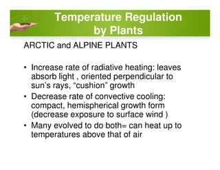 Temperature Regulation
by Plants
ARCTIC and ALPINE PLANTS
• Increase rate of radiative heating: leaves
absorb light , oriented perpendicular to
sun’s rays, “cushion” growthsun’s rays, “cushion” growth
• Decrease rate of convective cooling:
compact, hemispherical growth form
(decrease exposure to surface wind )
• Many evolved to do both= can heat up to
temperatures above that of air
 