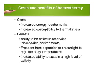 Costs and benefits of homeothermy
• Costs
• Increased energy requirements
• Increased susceptibility to thermal stress
• Benefits
• Ability to be active in otherwise
inhospitable environments
• Freedom from dependence on sunlight to
regulate body temperatuure
• Increased ability to sustain a high level of
activity
 