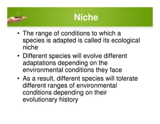 Niche
• The range of conditions to which a
species is adapted is called its ecological
niche
• Different species will evolve different
adaptations depending on theadaptations depending on the
environmental conditions they face
• As a result, different species will tolerate
different ranges of environmental
conditions depending on their
evolutionary history
 