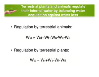 Terrestrial plants and animals regulate
their internal water by balancing water
acquisition against water loss
• Regulation by terrestrial animals:
Wia = Wd+Wf+Wa-We-Ws
• Regulation by terrestrial plants:
Wia = Wd+Wf+Wa-We-Ws
Wip = Wr+Wa-Wt-Ws
 
