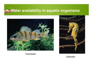 Water availability in aquatic organismsWater availability in aquatic organisms
Freshwater
Saltwater
 