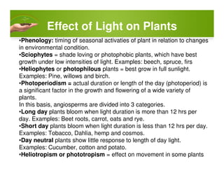 Effect of Light on Plants
•Phenology: timing of seasonal activaties of plant in relation to changes
in environmental condition.
•Sciophytes = shade loving or photophobic plants, which have best
growth under low intensities of light. Examples: beech, spruce, firs
•Heliophytes or photophilous plants = best grow in full sunlight.
Examples: Pine, willows and birch.
•Photoperiodism = actual duration or length of the day (photoperiod) is
a significant factor in the growth and flowering of a wide variety of
plants.
In this basis, angiosperms are divided into 3 categories.
•Long day plants bloom when light duration is more than 12 hrs per
day. Examples: Beet roots, carrot, oats and rye.
•Short day plants bloom when light duration is less than 12 hrs per day.
Examples: Tobacco, Dahlia, hemp and cosmos.
•Day neutral plants show little response to length of day light.
Examples: Cucumber, cotton and potato.
•Heliotropism or phototropism = effect on movement in some plants
 