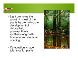- Light promotes the
growth in most of the
plants by promoting the
development of
chlorophyll,
photosynthesis,photosynthesis,
synthesis of growth
hormone and stomatal
opening.
- Competition, shade
tolerance for plants
 