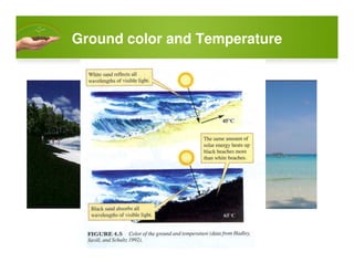 Ground color and Temperature
 