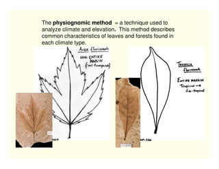 The physiognomic method = a technique used to
analyze climate and elevation. This method describes
common characteristics of leaves and forests found in
each climate type.
 