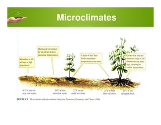 Microclimates
 