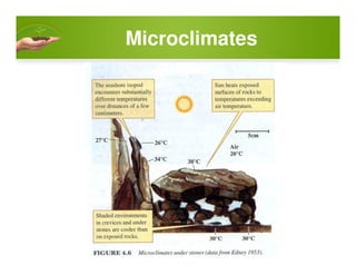 Microclimates
 