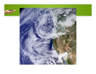 General Ecology: Abiotic factors 