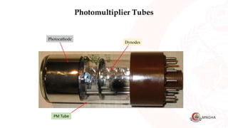 Dynodes
Photocathode
PM Tube
Photomultiplier Tubes
 