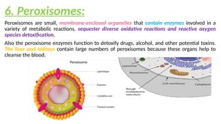 Perixomas Lec 2 (Cell Structure and Function).pptx