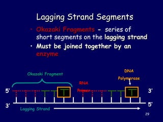 Molecular Biology Old and New Techniques | PPT