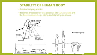 Stabilization Point Body lec2 equilibrium fixation velocity etc (2).pptx