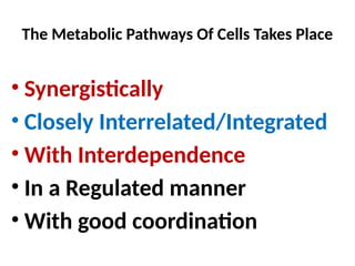 lec 2 IUIU Lecture Intergrated Metabolism.pptx