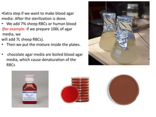 Sheep Rbc lec 2 media prepation.pptx................ | PPTX
