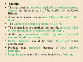 • Clamps
• This has been a traditional method for storing potatoes,
cassava etc. in some parts of the world, such as Great
Britain.
• A common design uses an area of land at the side of the
field.
• The width of the clamp is about 1 to 2.5 m.
• The dimensions are marked out and the potatoes piled
on the ground in an elongated conical heap. .
• At the top, straw is bent over the ridge so that rain will
tend to run off the structure.
• Straw thickness should be from 15-25 cm when
compressed.
• Produce may desiccate because of low relative
humidity.
• Large heaps may result in more incidence of rotting.
 