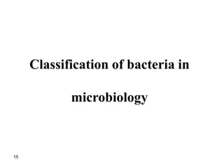 Classification of bacteria in
microbiology
15
 