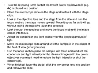 • Turn the revolving turret so that the lowest power objective lens (eg.
4x) is clicked into position.
• Place the microscope slide on the stage and fasten it with the stage
clips.
• Look at the objective lens and the stage from the side and turn the
focus knob so the stage moves upward. Move it up as far as it will go
without letting the objective touch the coverslip.
• Look through the eyepiece and move the focus knob until the image
comes into focus.
• Adjust the condenser and light intensity for the greatest amount of
light.
• Move the microscope slide around until the sample is in the center of
the field of view (what you see).
• Use the focus knob to place the sample into focus and readjust the
condenser and light intensity for the clearest image (with low power
objectives you might need to reduce the light intensity or shut the
condenser).
• When finished, lower the stage, click the low-power lens into position
and remove the slide.
 