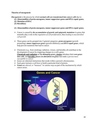 40
Theories of oncogenesis
Oncogenesis is the process by which normal cells are transformed into cancer cells due to:
(1) Abnormalities of proto-oncogenes, tumor suppressor genes and DNA repair genes.
(2) Mutation of DNA
(3) Hereditary
(1) Abnormalities of proto-oncogenes, tumor suppressor genes and DNA repair genes.
 Cancer is caused by the accumulation of genetic and epigenetic mutations in genes that
normally play a role in the regulation of cell proliferation, thus leading to uncontrolled
cell growth.
 These genes can be grouped into 3 general categories: proto-oncogenes (growth
promoting), tumor suppressor genes (growth inhibitory) and DNA repair genes, which
help prevent mutations that lead to cancer.
 Chemicals (e.g., from smoking), radiation, viruses, and heredity all contribute to the
development of cancer by triggering changes in a cell's genes.
Chemicals and radiation act by damaging genes, viruses introduce their own genes
into cells, and heredity passes on alterations in genes that make a person more
susceptible to cancer.
 Genes are inherited instructions that reside within a person's chromosomes.
 Each gene instructs a cell how to build a particular kind of protein.
 Genes are altered, or "mutated," in various ways as part of the mechanism by which
cancer arises.
 