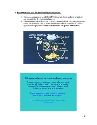 41
1) Oncogenes arise from the mutation of proto-oncogenes.
 Oncogenes are genes whose PRESENCE in certain forms and/or over activity
can stimulate the development of cancer.
 When oncogenes arise in normal cells, they can contribute to the development of
cancer by instructing cells to make abnormal versions or quantities of cellular
growth-control proteins that stimulate excessive cell growth and division.
 