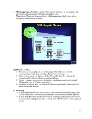 43
3) “DNA repair genes“ code for proteins whose normal function is to correct errors that
arise when cells duplicate their DNA prior to cell division.
Mutations in DNA repair genes can lead to a failure in repair, which in turn allows
subsequent mutations to accumulate.
(2) Mutation of DNA
 Numerous chemical, physical and biologic agents have been shown to be
carcinogenic, meaning they can induce the formation of cancers.
 Many of these agents can damage cellular DNA, either directly or through the
production of toxic intermediates such as free radicals.
 Certain viruses are also oncogenic in that they may induce mutations in host cell
DNA or alter rates of cellular transcription.
 Mutations of cellular DNA can lead to the formation of cells with abnormal growth
and differentiation patterns.
(3) Hereditary
 A genetic predisposition has been observed for a number of cancers including colon
cancer, breast cancer, retinoblastoma and certain forms of leukemia and lymphoma.
 A great deal of recent research has focused on identifying certain genetic markers in
individuals that might pinpoint them as at risk for the development of certain types of
cancer.
 