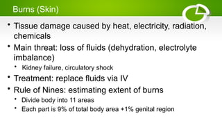 Burns (Skin)
• Tissue damage caused by heat, electricity, radiation,
chemicals
• Main threat: loss of fluids (dehydration, electrolyte
imbalance)
• Kidney failure, circulatory shock
• Treatment: replace fluids via IV
• Rule of Nines: estimating extent of burns
• Divide body into 11 areas
• Each part is 9% of total body area +1% genital region
 