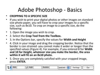 Adobe Photoshop - Basics
• CROPPING TO A SPECIFIC SIZE
• If you wish to print your digital photos or other images on standard
size photo paper, you will have to crop your images to a specific
size, such as 8x10. To crop an image to a specific size, do the
following:
• 1. Open the image you wish to crop.
• 2. Select the Crop Tool from the Toolbox.
• 3. In the Options bar, specify the values for Width and Height
• 4. Click in your image and drag the cropping border. Notice that the
border is con strained -you cannot make it wider or longer than the
specified values (Figure 4). For example, if you entered 8 for Width
and 10 for Height, whatever size you make the border, the area
within it will fit on an 8x10 photo.
• 5. Once you are completely satisfied with your cropped image,
press ENTER.
 