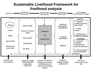 Livelihood Development Hub Livelihood and rural development | PPT