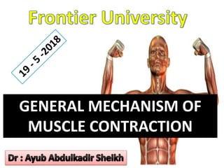 GENERAL MECHANISM OF
MUSCLE CONTRACTION
 