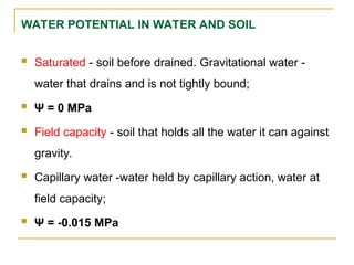 WATER POTENTIAL IN WATER AND SOIL
 Saturated - soil before drained. Gravitational water -
water that drains and is not tightly bound;
 Ψ = 0 MPa
 Field capacity - soil that holds all the water it can against
gravity.
 Capillary water -water held by capillary action, water at
field capacity;
 Ψ = -0.015 MPa
 