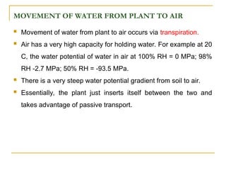 MOVEMENT OF WATER FROM PLANT TO AIR
 Movement of water from plant to air occurs via transpiration.
 Air has a very high capacity for holding water. For example at 20
C, the water potential of water in air at 100% RH = 0 MPa; 98%
RH -2.7 MPa; 50% RH = -93.5 MPa.
 There is a very steep water potential gradient from soil to air.
 Essentially, the plant just inserts itself between the two and
takes advantage of passive transport.
 