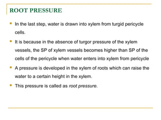 ROOT PRESSURE
 In the last step, water is drawn into xylem from turgid pericycle
cells.
 It is because in the absence of turgor pressure of the xylem
vessels, the SP of xylem vessels becomes higher than SP of the
cells of the pericycle when water enters into xylem from pericycle
 A pressure is developed in the xylem of roots which can raise the
water to a certain height in the xylem.
 This pressure is called as root pressure.
 