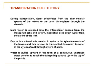 TRANSPIRATION PULL THEORY
During transpiration, water evaporates from the inter cellular
spaces of the leaves to the outer atmosphere through the
stomata.
More water is released into the intercellular spaces from the
mesophyll cells and in turn, mesophyll cells draw water from
the xylem of the leaf.
Due to this, a tension is created in water in the xylem elements of
the leaves and this tension is transmitted downward to water
in the xylem of root through xylem of stem.
Water is pulled upward in the form of a continuous unbroken
water column to reach the transpiring surface up to the top of
the plants.
 