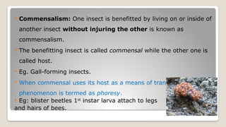 Impact of Biotic Factors on Insect Population Dynamics and Ecosystem ...