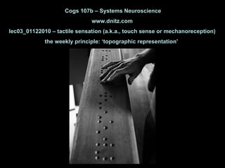 Cogs 107b – Systems Neuroscience www.dnitz.com lec03_01122010 – tactile sensation (a.k.a., touch sense or mechanoreception) the weekly principle: ‘topographic representation’  