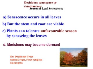 Lec_ 30 (senescene & abscission).ppt... | PPT