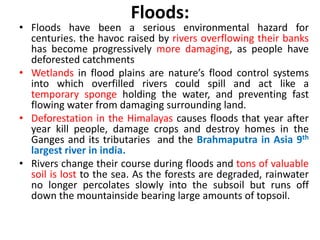 Floods:
• Floods have been a serious environmental hazard for
centuries. the havoc raised by rivers overflowing their banks
has become progressively more damaging, as people have
deforested catchments
• Wetlands in flood plains are nature’s flood control systems
into which overfilled rivers could spill and act like a
temporary sponge holding the water, and preventing fast
flowing water from damaging surrounding land.
• Deforestation in the Himalayas causes floods that year after
year kill people, damage crops and destroy homes in the
Ganges and its tributaries and the Brahmaputra in Asia 9th
largest river in india.
• Rivers change their course during floods and tons of valuable
soil is lost to the sea. As the forests are degraded, rainwater
no longer percolates slowly into the subsoil but runs off
down the mountainside bearing large amounts of topsoil.
 
