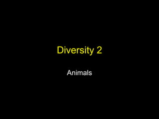 Diversity 2
Animals

 